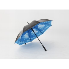 60cm Regular straight sky umbrella